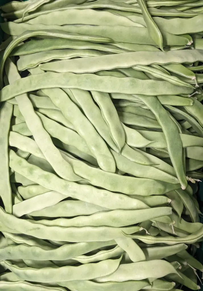 蔬菜 - 自產雲豆 Farm Grown Kidney Beans