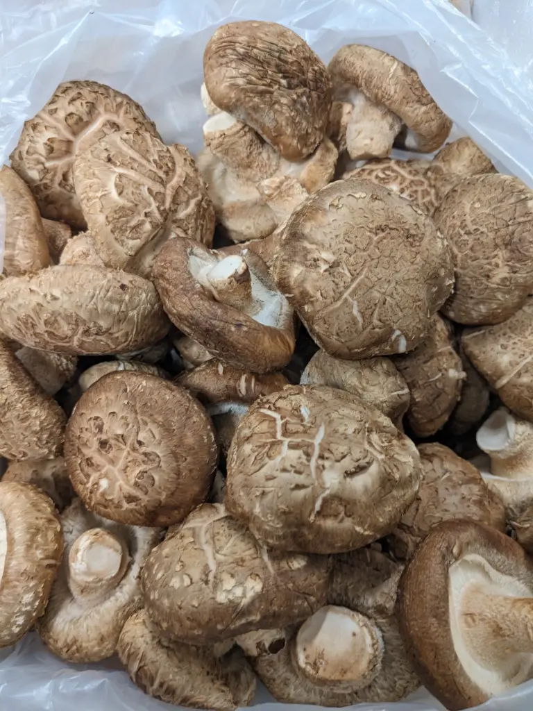 蔬菜 - 花菇 Flower Shiitake Mushroom