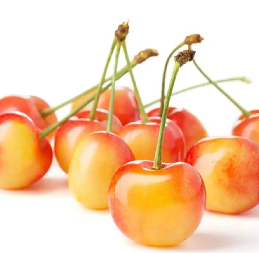 水果 - 黃櫻桃 Cherry