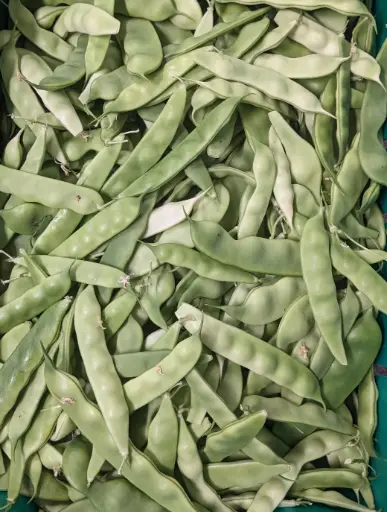 [5400024] 蔬菜 - 自產油豆角 Northeast Chinese Pole Beans