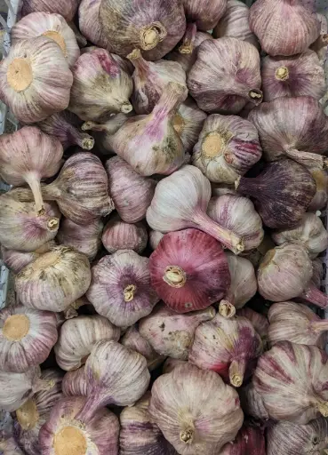 [5400007] 蔬菜 - 新鮮大蒜 Fresh Garlic