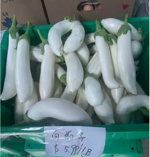 [5400028] 蔬菜 - 自產長茄子 （白色）Eggplant