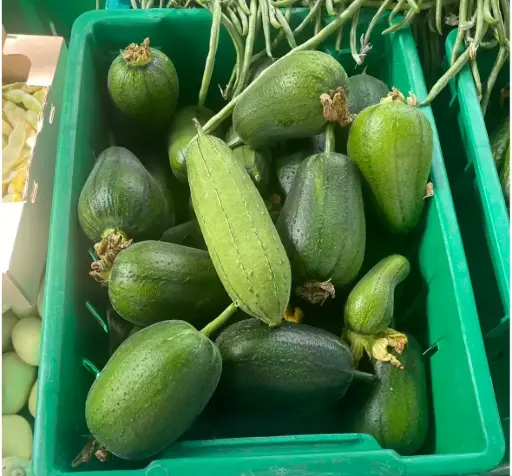 [5400025] 蔬菜 - 自產蘋果絲瓜 Towel Gourd