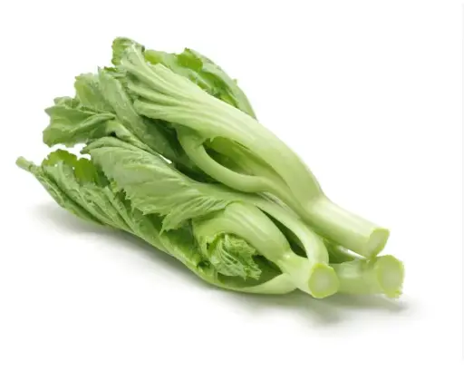 [5400030] 蔬菜 - 芥菜 Mustard Greens