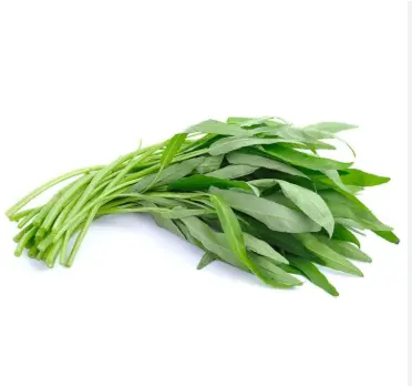 [5400044] 通菜 Water Spinach