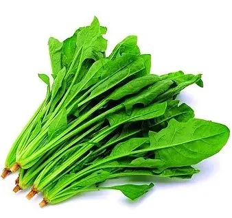 [5400045] 蔬菜 - 本地波菜 Spinach