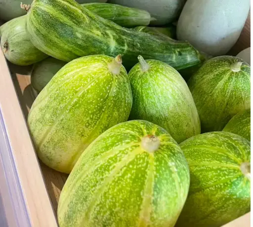 [5400050] 蔬菜 - 甜瓜 羊角蜜 Melon